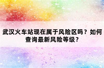武汉火车站现在属于风险区吗？如何查询最新风险等级？