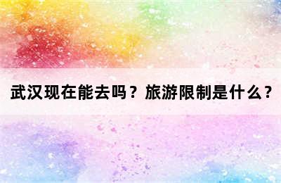 武汉现在能去吗？旅游限制是什么？