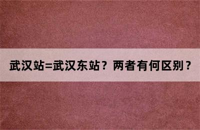 武汉站=武汉东站？两者有何区别？