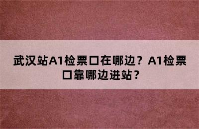 武汉站A1检票口在哪边？A1检票口靠哪边进站？