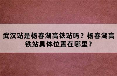 武汉站是杨春湖高铁站吗？杨春湖高铁站具体位置在哪里？