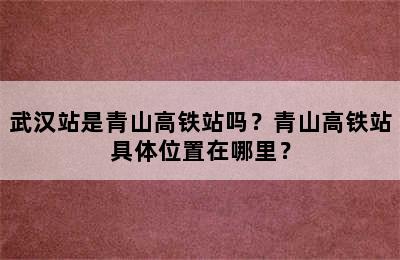 武汉站是青山高铁站吗？青山高铁站具体位置在哪里？