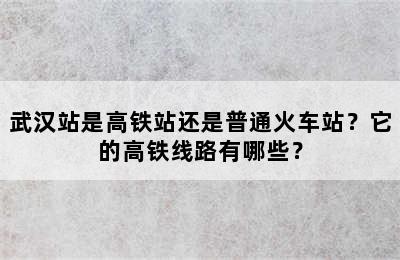 武汉站是高铁站还是普通火车站？它的高铁线路有哪些？