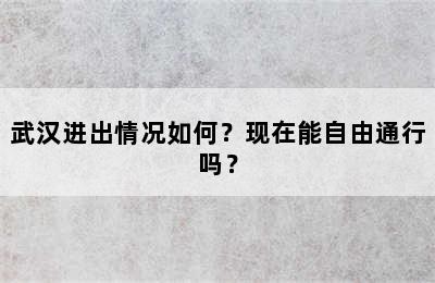 武汉进出情况如何？现在能自由通行吗？