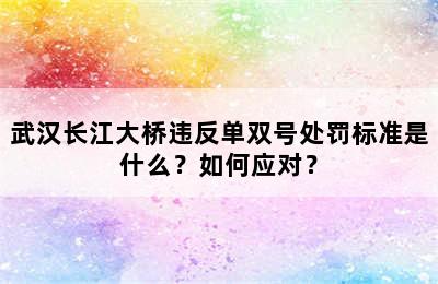 武汉长江大桥违反单双号处罚标准是什么？如何应对？