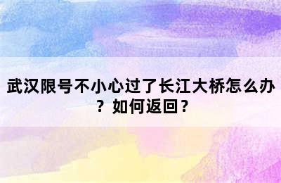 武汉限号不小心过了长江大桥怎么办？如何返回？