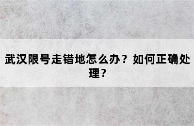 武汉限号走错地怎么办？如何正确处理？
