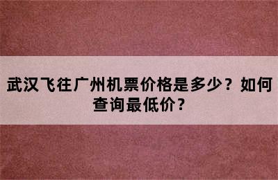 武汉飞往广州机票价格是多少？如何查询最低价？