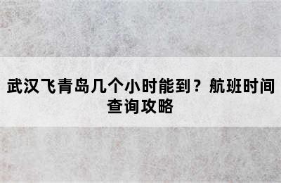 武汉飞青岛几个小时能到？航班时间查询攻略