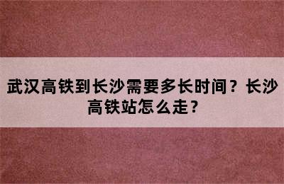 武汉高铁到长沙需要多长时间？长沙高铁站怎么走？