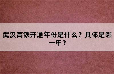 武汉高铁开通年份是什么？具体是哪一年？