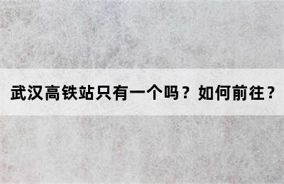 武汉高铁站只有一个吗？如何前往？