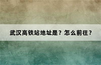 武汉高铁站地址是？怎么前往？