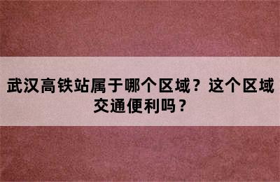 武汉高铁站属于哪个区域？这个区域交通便利吗？