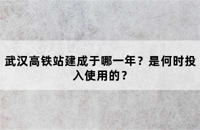 武汉高铁站建成于哪一年？是何时投入使用的？