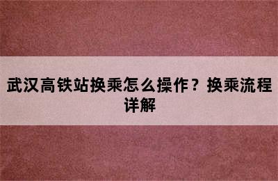 武汉高铁站换乘怎么操作？换乘流程详解