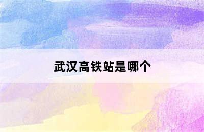 武汉高铁站是哪个