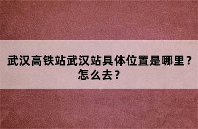 武汉高铁站武汉站具体位置是哪里？怎么去？