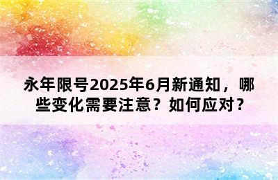 永年限号2025年6月新通知，哪些变化需要注意？如何应对？