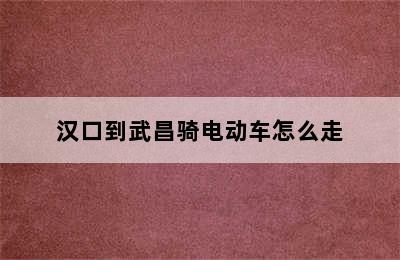 汉口到武昌骑电动车怎么走