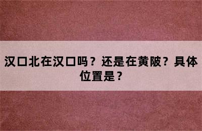 汉口北在汉口吗？还是在黄陂？具体位置是？