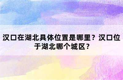汉口在湖北具体位置是哪里？汉口位于湖北哪个城区？