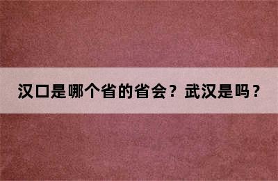 汉口是哪个省的省会？武汉是吗？