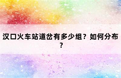 汉口火车站道岔有多少组？如何分布？
