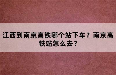 江西到南京高铁哪个站下车？南京高铁站怎么去？