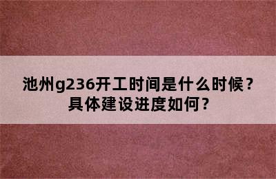 池州g236开工时间是什么时候？具体建设进度如何？
