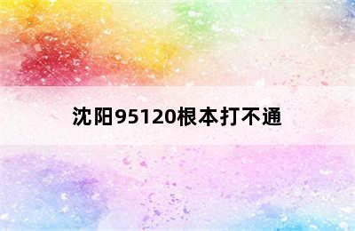 沈阳95120根本打不通