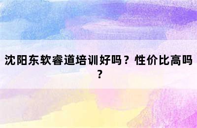 沈阳东软睿道培训好吗？性价比高吗？