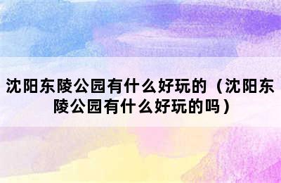 沈阳东陵公园有什么好玩的（沈阳东陵公园有什么好玩的吗）