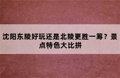 沈阳东陵好玩还是北陵更胜一筹？景点特色大比拼