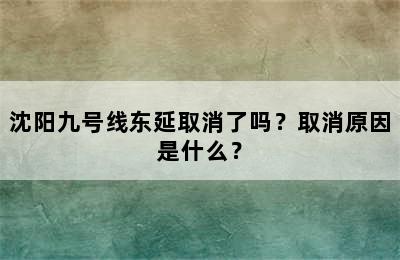 沈阳九号线东延取消了吗？取消原因是什么？