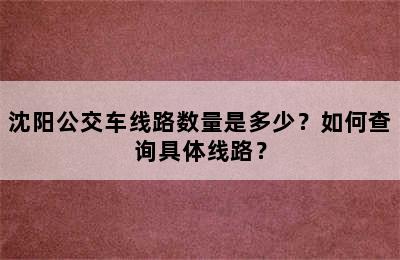 沈阳公交车线路数量是多少？如何查询具体线路？