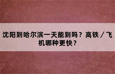 沈阳到哈尔滨一天能到吗？高铁／飞机哪种更快？