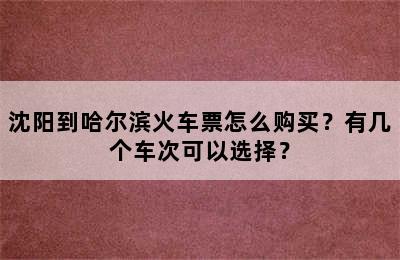 沈阳到哈尔滨火车票怎么购买？有几个车次可以选择？