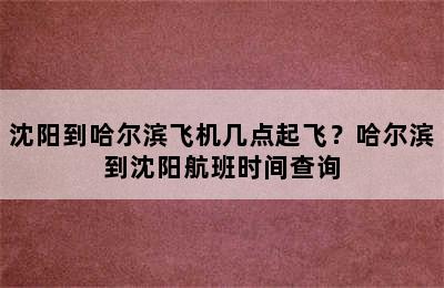 沈阳到哈尔滨飞机几点起飞？哈尔滨到沈阳航班时间查询
