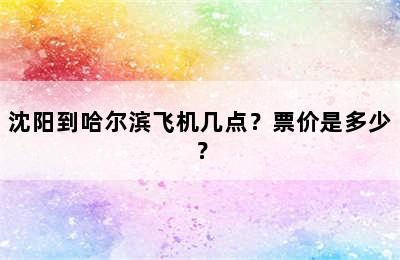 沈阳到哈尔滨飞机几点？票价是多少？
