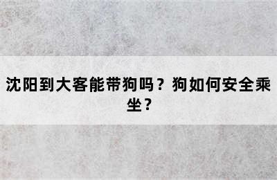 沈阳到大客能带狗吗？狗如何安全乘坐？