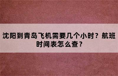 沈阳到青岛飞机需要几个小时？航班时间表怎么查？