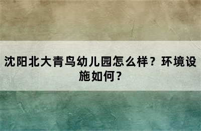 沈阳北大青鸟幼儿园怎么样？环境设施如何？