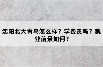 沈阳北大青鸟怎么样？学费贵吗？就业前景如何？