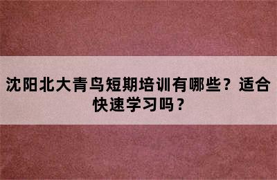沈阳北大青鸟短期培训有哪些？适合快速学习吗？