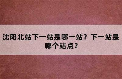 沈阳北站下一站是哪一站？下一站是哪个站点？