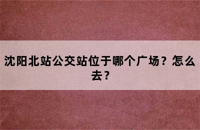 沈阳北站公交站位于哪个广场？怎么去？