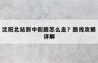 沈阳北站到中街路怎么走？路线攻略详解