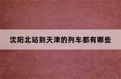 沈阳北站到天津的列车都有哪些