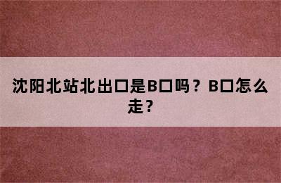 沈阳北站北出口是B口吗？B口怎么走？